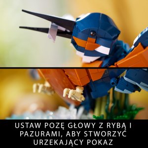 LEGO Icons Zimorodek (10331) 4