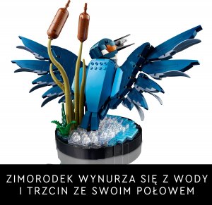 LEGO Icons Zimorodek (10331) 5