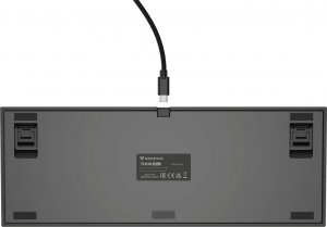 Klawiatura Genesis THOR 404 TKL Kailh Box Brown V2 (NKG-2071) 4