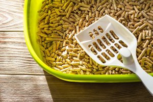 Żwirek dla kota Profi Seller ŻWIREK JASNY PELLET DREWNIANY RAFAŁEK DLA KOTA GRYZONIA KRÓLIKA ŚWINKI CHOMIKA 15kg 3