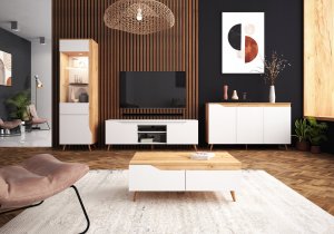 Vivaldi Meble RTV TREE LE biały/biały mat 2K 2