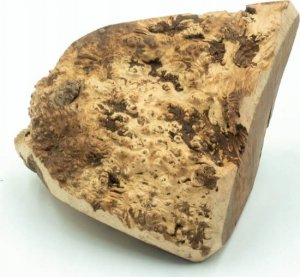 4DOGS Korzeń wrzośca dla psa - gryzak L 7