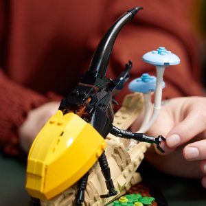 LEGO Ideas Kolekcja owadów (21342) 8