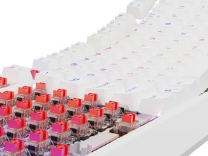 Klawiatura GENESIS Thor 230 TKL Outemu Red (NKG-2078) 8