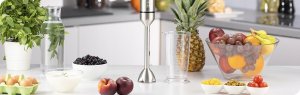 Blender Zelmer ZHB4752 Vario Titanium XL 10
