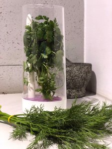 Rossner Pojemnik na przechowywanie pietruszki koperku ziół 13