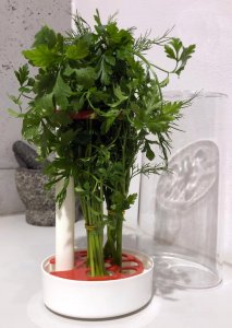 Rossner Pojemnik na przechowywanie pietruszki koperku ziół 2