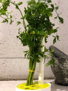 Rossner Pojemnik na przechowywanie pietruszki koperku ziół 5