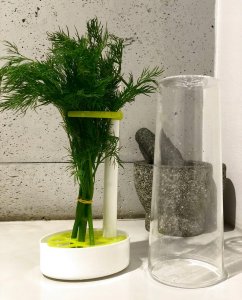 Rossner Pojemnik na przechowywanie pietruszki koperku ziół 6