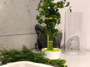 Rossner Pojemnik na przechowywanie pietruszki koperku ziół 8