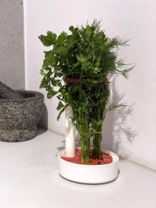 Rossner Pojemnik na przechowywanie pietruszki koperku ziół 9