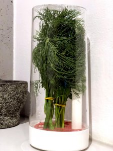 Rossner Pojemnik na przechowywanie pietruszki koperku ziół 10