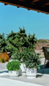 Prosperplast Donica HEOS - antracytowy (DBHEN400-S433) 4