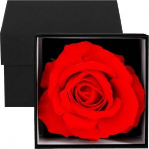 Springos Wieczna róża w pudełku prezentowym UNIWERSALNY 1