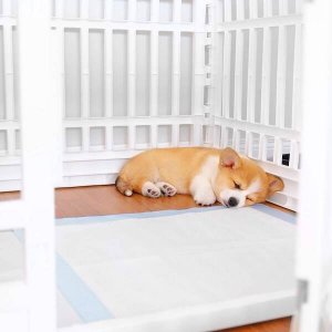 Springos Mata higieniczna dla psa 60x60 cm podkład chłonny 10 szt. do nauki higieny UNIWERSALNY 17