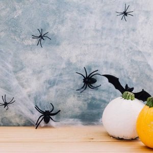 Springos Dekoracja na Halloween pajęczyna z 2 pająkami 20g ozdoba sieć pajęcza 1,9 m UNIWERSALNY 6