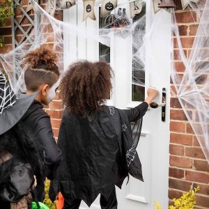 Springos Dekoracja na Halloween pajęczyna z 2 pająkami 20g ozdoba sieć pajęcza 1,9 m UNIWERSALNY 10