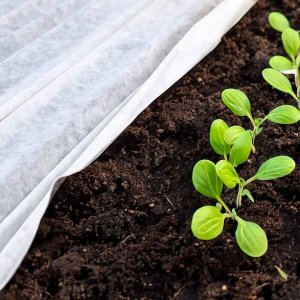 Springos Agrowłóknina zimowa 70g/m2 otulina gruba 100x1,6m biała UNIWERSALNY 4