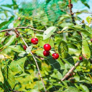 Springos Siatka na ptaki zabezpieczająca ochronna 10x20 m z szpilkami mocującymi 20 szt. zielona UNIWERSALNY 16