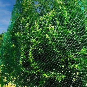 Springos Siatka na ptaki zabezpieczająca ochronna 10x20 m z szpilkami mocującymi 20 szt. zielona UNIWERSALNY 9