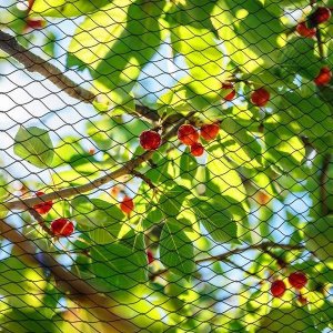 Springos Siatka na ptaki zabezpieczająca ochronna 10x20 m z szpilkami mocującymi 20 szt. zielona UNIWERSALNY 10