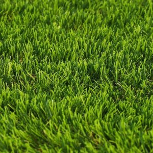 Springos Sztuczna trawa 2 m na taras balkon miękka i gęsta 45 mm UNIWERSALNY 4