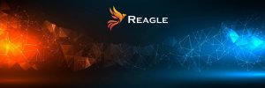 Kabel Reagle DisplayPort - DisplayPort 0.5m srebrny 8