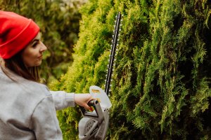 Lehmann Nożyce elektryczne Brodsworth 45 cm 2