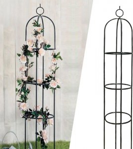 Severno Pergola ogrodowa na kwiaty, róże kolumnowa "Persian Yellow" 2