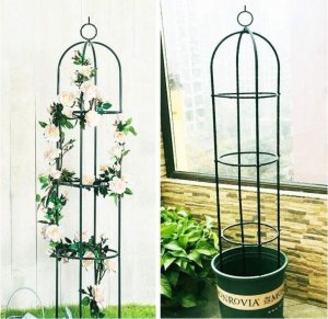 Severno Pergola ogrodowa na kwiaty, róże kolumnowa "Persian Yellow" 4