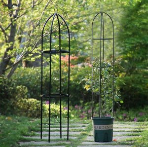 Severno Pergola ogrodowa na kwiaty, róże kolumnowa "Persian Yellow" 6