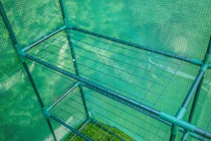 Neo Szklarnia 143 cm x 143 cm x 195 cm (15-911) 4