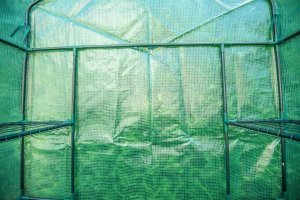 Neo Szklarnia 143 cm x 143 cm x 195 cm (15-911) 7