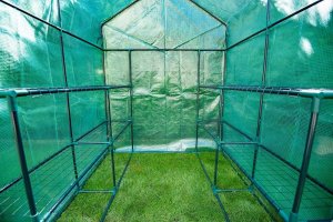 Neo Szklarnia 143 cm x 143 cm x 195 cm (15-911) 8