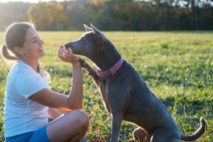 Contipro Geloren Large Dog 420g - Mieszanka uzupełniająca, żelki dla dużych psów na stawy 60 szt. 11