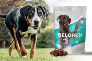Contipro Geloren Large Dog 420g - Mieszanka uzupełniająca, żelki dla dużych psów na stawy 60 szt. 15