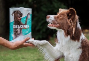 Contipro Geloren Large Dog 420g - Mieszanka uzupełniająca, żelki dla dużych psów na stawy 60 szt. 3