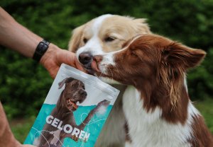 Contipro Geloren Large Dog 420g - Mieszanka uzupełniająca, żelki dla dużych psów na stawy 60 szt. 4