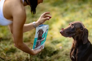 Contipro Geloren Large Dog 420g - Mieszanka uzupełniająca, żelki dla dużych psów na stawy 60 szt. 6