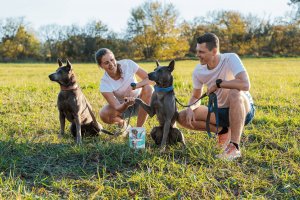 Contipro Geloren Large Dog 420g - Mieszanka uzupełniająca, żelki dla dużych psów na stawy 60 szt. 8
