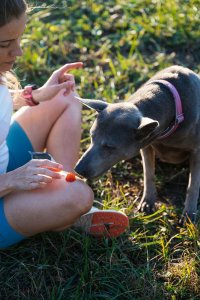 Contipro Geloren Large Dog 420g - Mieszanka uzupełniająca, żelki dla dużych psów na stawy 60 szt. 9