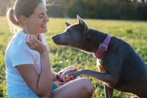 Contipro Geloren Large Dog 420g - Mieszanka uzupełniająca, żelki dla dużych psów na stawy 60 szt. 10