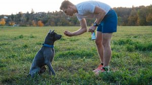 Contipro Geloren Small Dog 180g - Mieszanka uzupełniająca, żelki dla małych psów na stawy 60 szt. 10