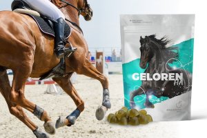 Geloren Geloren Horse HA 450g - Mieszanka uzupełniająca, żelki dla koni na stawy kolagen 60 szt. 3