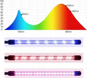 Heckermann Lampa LED do wzrostu roślin 78LED 4 głowice + tripod 10