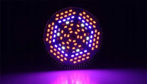Cronos Żarówka LED do wzrostu roślin Heckermann 150LED MDA-PG01 100W 4