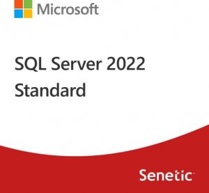 Microsoft SQL Server 2022 Standard Edition  (DG7GMGF0M80J:0002) 1