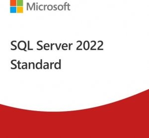 Microsoft SQL Server 2022 Standard Edition  (DG7GMGF0M80J:0002) 1