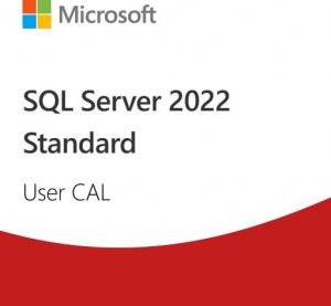 Microsoft SQL Server 2022 - 1 User CAL (Edu)  (DG7GMGF0MF3T:0002) 1