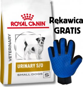 Royal Canin Urinary S/O USD 20 8 kg + Rękawica do czesania 1